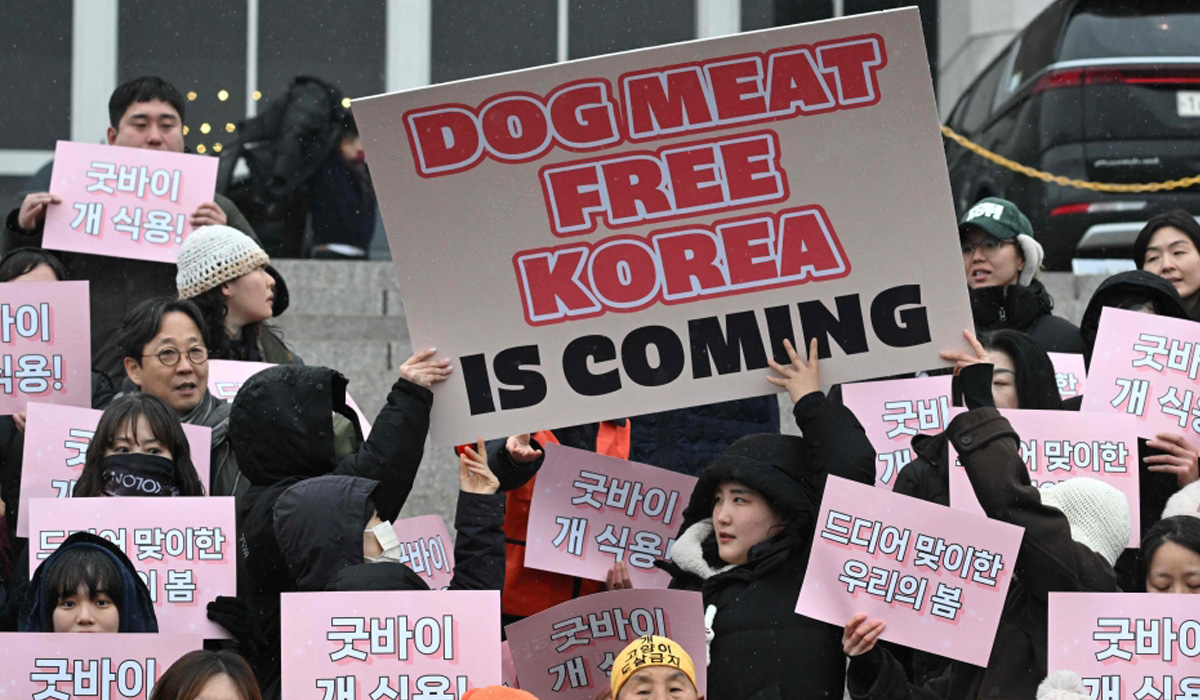 Ban on dog meat production